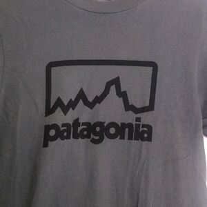 Patagonia Men’s T Shirt Short Sleeve size Xs organic cotton slim fit